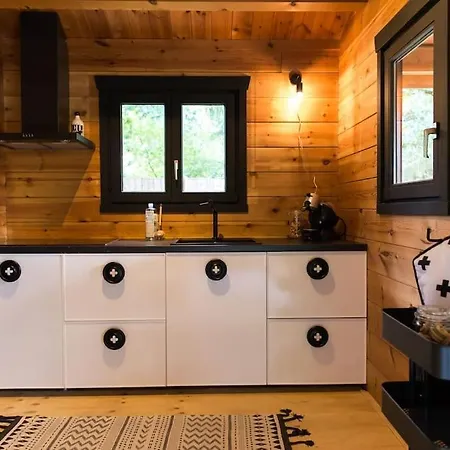 Scandinavische Blokhut Op De Veluwe *